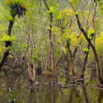 Explore Cat Ba National Parks Hidden Wonders: Hike, Bike, Kayak - Why This Tour Offers Great Value