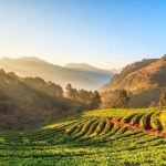 Explore Doi Inthanon  Thailands Highest Peak near Chiang Mai - Practical Details and Tips