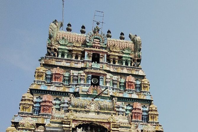 Explore Navagraha Temples Of The Sun, Moon, Venus & Rahu With Lunch - Who is this tour best suited for?