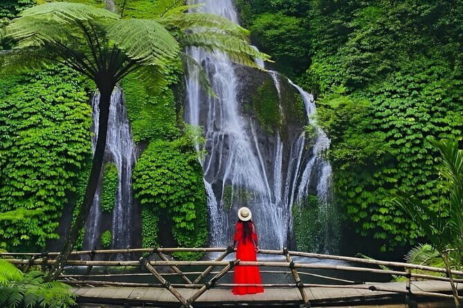 Explore North Bali (Temple, Waterfall, Rice Terrace) - Authentic Insights from Reviewers