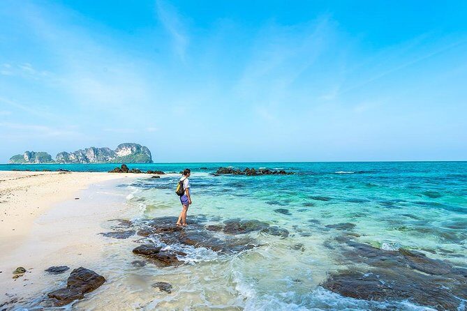 Explore Phi Phi Islands  Speed Boat Day Tour from Krabi - Authentic Insights from Reviewers