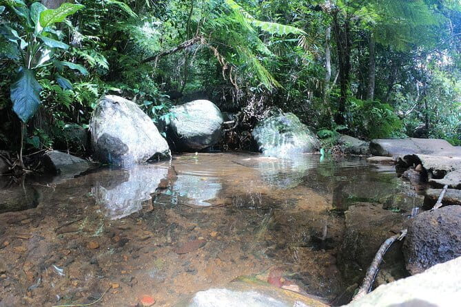 'Explore Sinharaja' rainforest - Adventure Tour (Full day) - Wildlife and Ecosystem Highlights