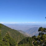 Explore the best of forest & nature in Nainital (4.5 hours Guided Tour) - Final Thoughts