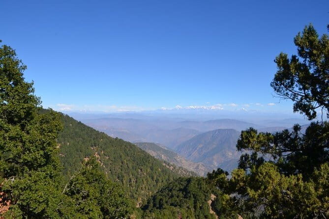 Explore the best of forest & nature in Nainital (4.5 hours Guided Tour) - Final Thoughts