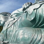Exploring Hakata: Temples Shrines and Scenic Treasures - Practical Details and Value