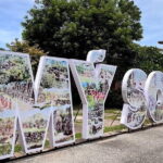 Exploring My Son Sanctuary and Hoi An Walking Tour - Introduction to the Tour Experience