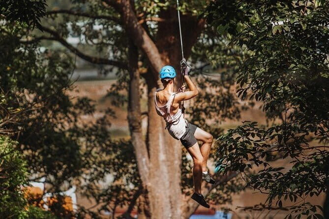 Extreme 65 Platforms Jungle Zipline Adventure Park - What You Should Know Before Booking