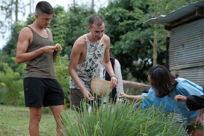 Farm to Table Cooking Class - The Practicalities