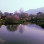 Feeling Bhutan- Private personalized tour of the capital city Thimphu - Practical Aspects and What to Expect