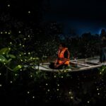 Fireflies and Hots Spring Nature Tour by KLASH - Discovering Kuala Selangor’s Rich Heritage