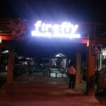 Fireflies and Kuala Selangor Tour Including Dinner - The Itinerary: What to Expect