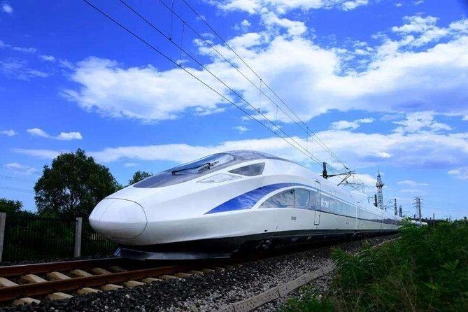 Flexible Shanghai Private Day Tour from Nanjing by Bullet Train - Practical Details
