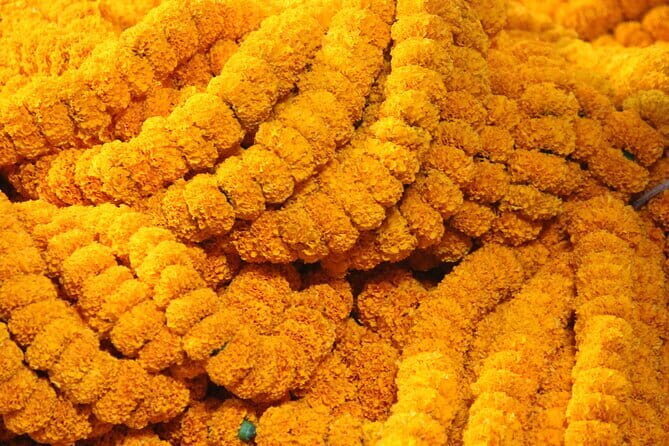 Flower Market Colors and Ganges Ghat Experience - What’s Included & What to Consider