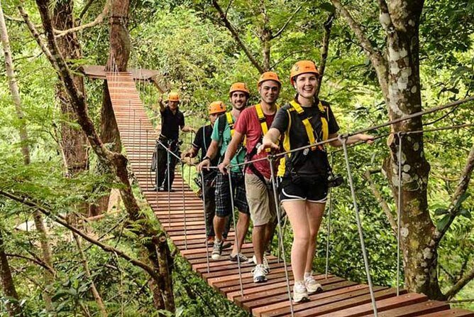 Flying Hanuman Ziplines 42 platform & Transfer RoundTrips - What to Expect on the Flying Hanuman Experience