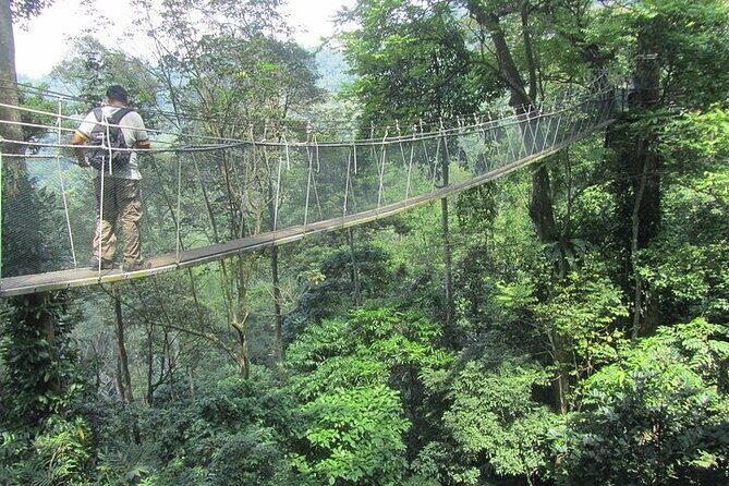 Forest Research Institute Malaysia FRIM Rainforest Private Tour - The Sum Up