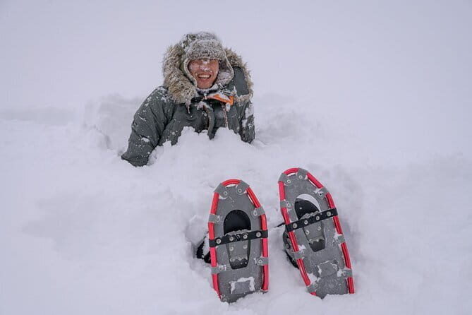 Forest Snowshoeing in White Birch and Blue River Course - What to Expect from the Snowshoeing Tour