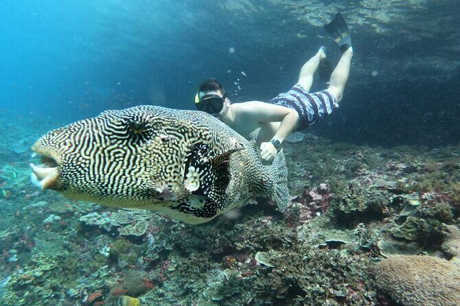 From Bali One Day Nusa Penida Tours with Manta Rays Snorkeling - What We Love and What to Watch Out For