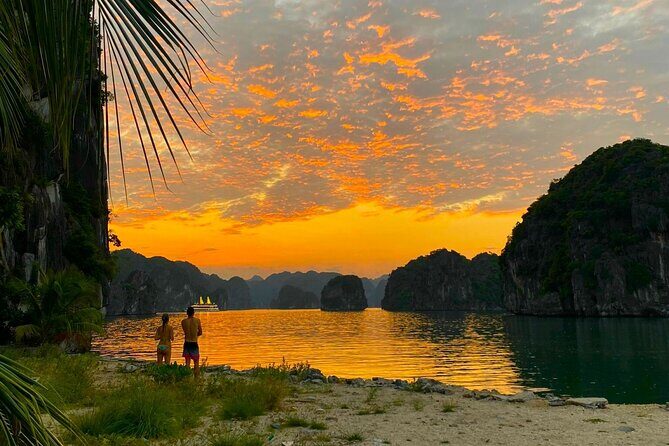 From Cat Ba: Sunset, Magical Bioluminescence Plankton Night Kayak - The Experience: What Travelers Say
