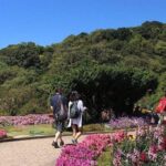 From Chiang Mai: Inthanon National Park 9-Hour Group Tour - Who Will Love This Tour?