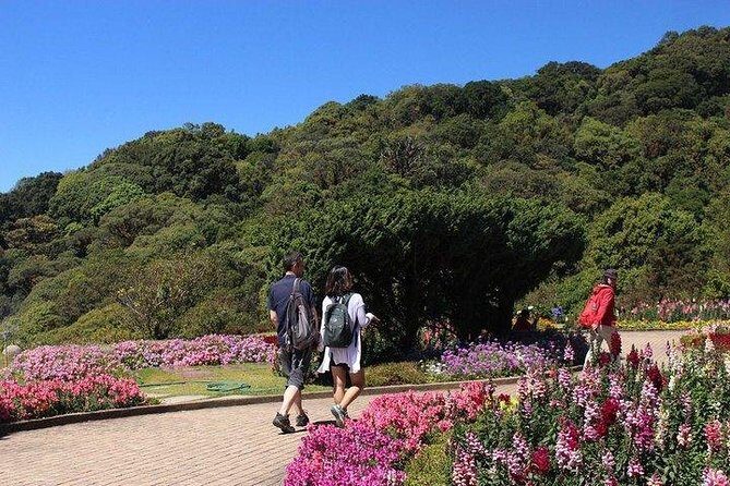 From Chiang Mai: Inthanon National Park 9-Hour Group Tour - Who Will Love This Tour?