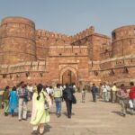 From Delhi: Golden Triangle Private Tour with Pushkar - Who Will Love This Tour?