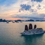 From Hanoi: Arcady Boutique Cruise 2-Day Halong Bay Discovery - Practical Details and What They Mean for You