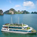 From Hanoi: Cat Ba Island- Lan Ha Bay Day Trip on Luxury Cruise - Who Is This Tour Best For?