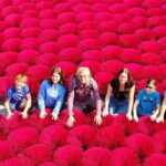 From Hanoi to Incense Village and Ninh Binh Gateway Private Tour - Analyzing the Value