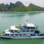 From Hanoi to Ninh Binh and Halong Bay Day Tour 2 Days 1 Night - A Detailed Look at the Tour Experience