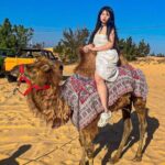 From Ho Chi Minh To Mui Ne Best Day Trip | Sunset Tour - Why This Tour Stands Out