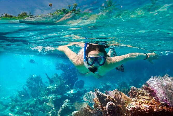 From Hoi An/Da Nang: Amazing Cham Island Snorkeling Tour - Authentic Experiences and Practical Tips