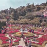 From Hoi An: Full-Day Ba Na Hills and Golden Bridge Tour - The Sum Up: Who Will Love This Tour?