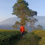 From Jakarta : Java Island To Bali Island 14 Day (Private Tour) - Volcanoes and Waterfalls: East Java’s Spectacular Landscapes