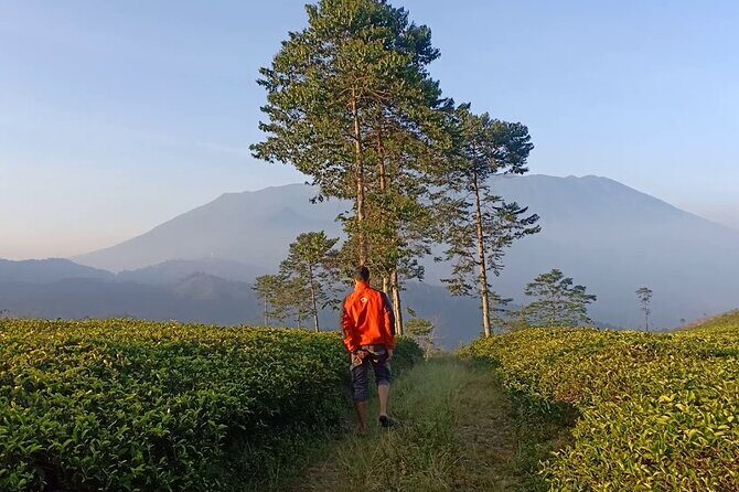 From Jakarta : Java Island To Bali Island 14 Day (Private Tour) - Volcanoes and Waterfalls: East Java’s Spectacular Landscapes