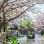 From Nagoya: Castles and Canals in Hikone and Omi Hachiman - Who Would Love This Tour?