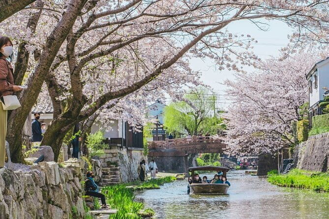 From Nagoya: Castles and Canals in Hikone and Omi Hachiman - Who Would Love This Tour?