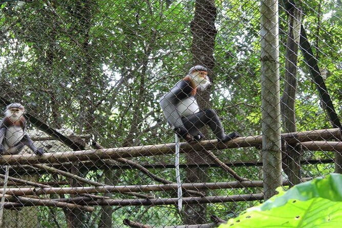 From Ninh Binh: Cuc Phuong National Park Trekking Day Tour - The Itinerary in Detail: What You’ll Experience