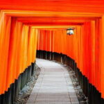 From Osaka/Kyoto: Kyoto & Nara Day Trip with Lunch - What Do You Get for the Price?