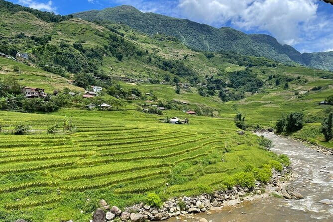 From Sapa: Half-day Guided Trek to Lao Chai & Ta Van with Lunch - What’s Included and What’s Not