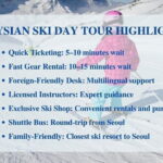 From Seoul: Gangchon Elysian Ski, Snowboard & Sledding Day Tour - What Makes Elysian Resort Special?