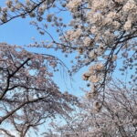 From Seoul: Private Day Tour to Gangneung - What Past Travelers Say