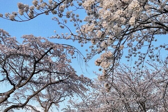 From Seoul: Private Day Tour to Gangneung - What Past Travelers Say