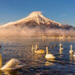 From Tokyo: Mount Fuji Highlights Tour with Kawaguchi Lake Cruise - FAQs