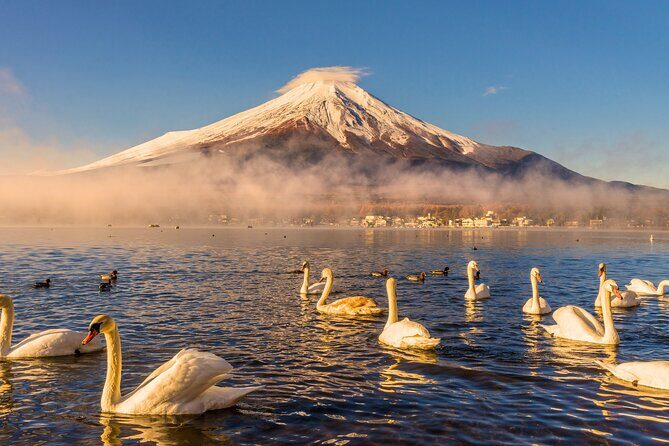 From Tokyo: Mount Fuji Highlights Tour with Kawaguchi Lake Cruise - FAQs