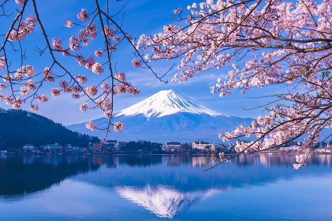 From Tokyo: Visit Mt. Fuji 5th Station, Arrive in Kawaguchiko - A Thorough Breakdown of the Tour Experience