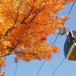Fuji Day trip to Hakone Pirate Boat Ropeway Gotemba Outlets - Practical Details and Experience Quality