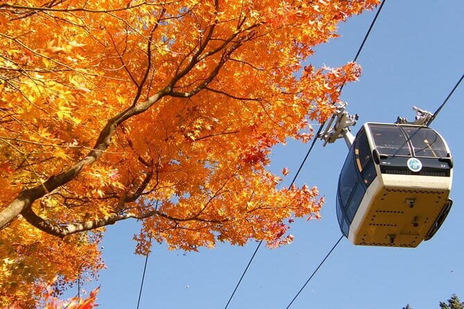 Fuji Day trip to Hakone Pirate Boat Ropeway Gotemba Outlets - Practical Details and Experience Quality
