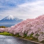 Fuji Yoshiwara Gion Festival Twilight E-Bike Tour (Two Days only) - The Sum Up