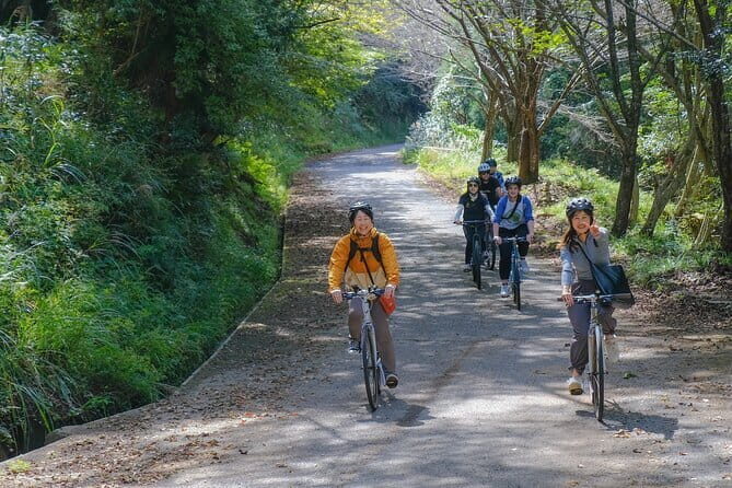 Fukuoka Bike Tour Explore Buzen Hidden Gems - Who Is This Tour Best For?