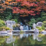 Fukuoka Private Customizable Half Day Tour - The Itinerary: Breaking Down the Highlights